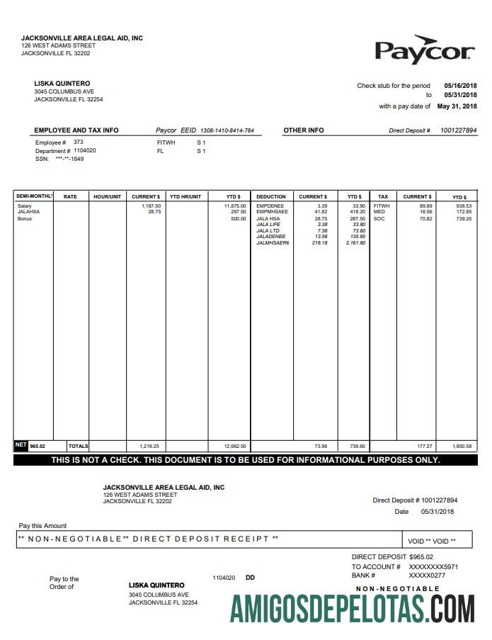 Paycor Paystub amostra